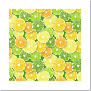 Citrus fruit slices pop art 3 Posters and Art